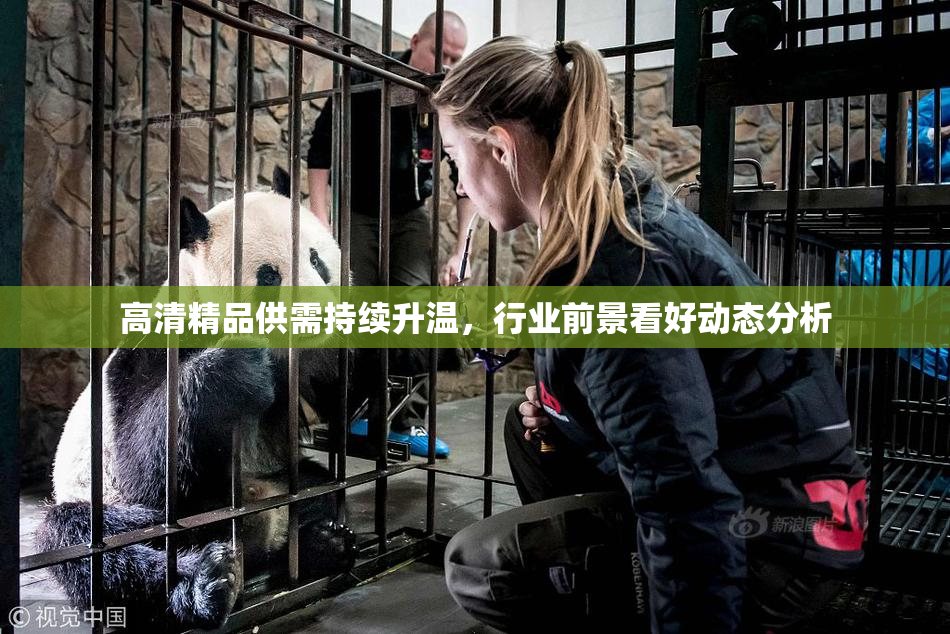 高清精品供需持续升温，行业前景看好动态分析
