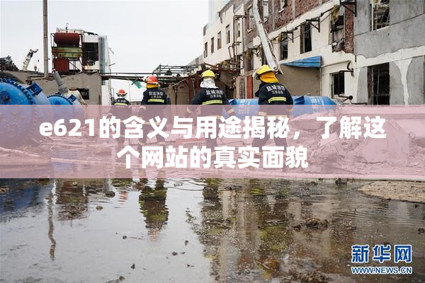 e621的含义与用途揭秘，了解这个网站的真实面貌