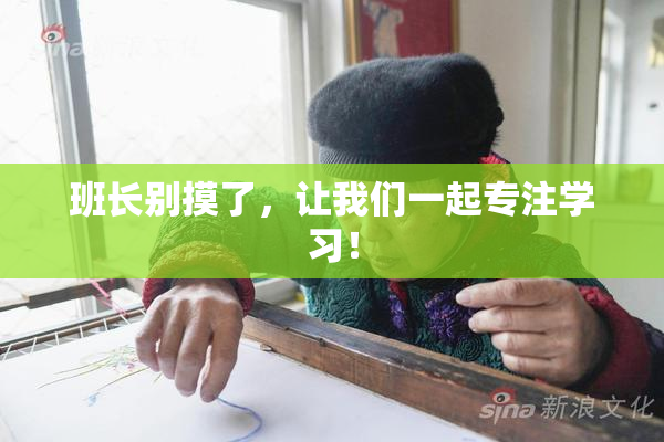 班长别摸了，让我们一起专注学习！