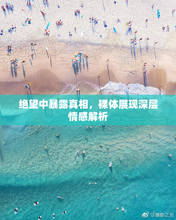 绝望中暴露真相，裸体展现深层情感解析