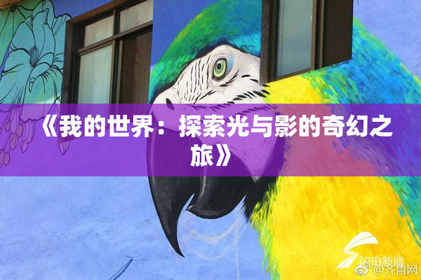 《我的世界：探索光与影的奇幻之旅》