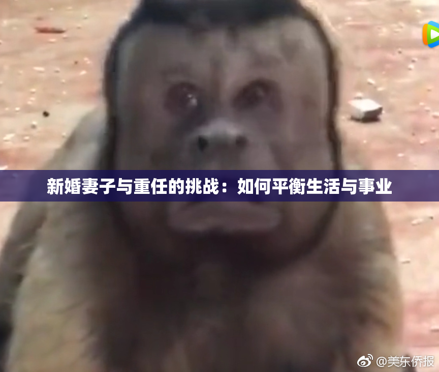 新婚妻子与重任的挑战：如何平衡生活与事业