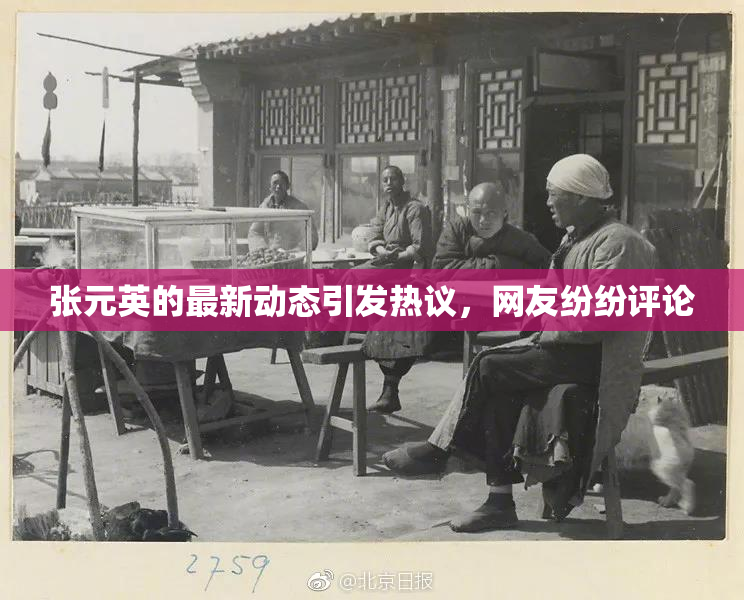 张元英的最新动态引发热议，网友纷纷评论
