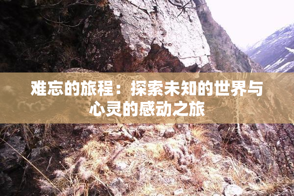 难忘的旅程：探索未知的世界与心灵的感动之旅