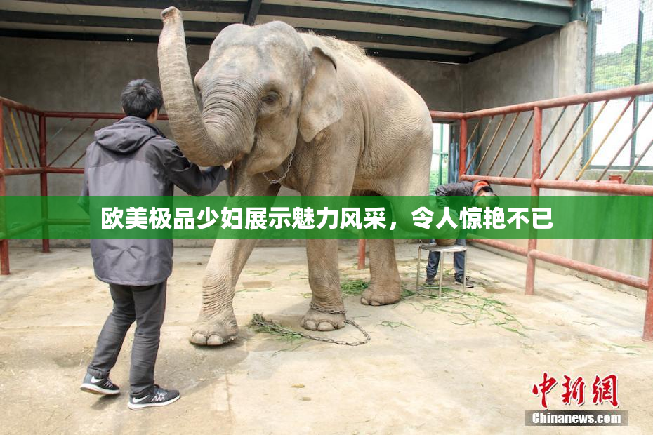 欧美极品少妇展示魅力风采，令人惊艳不已