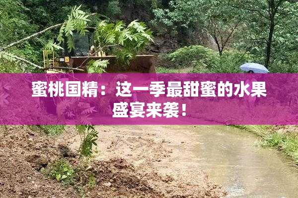 蜜桃国精：这一季最甜蜜的水果盛宴来袭！