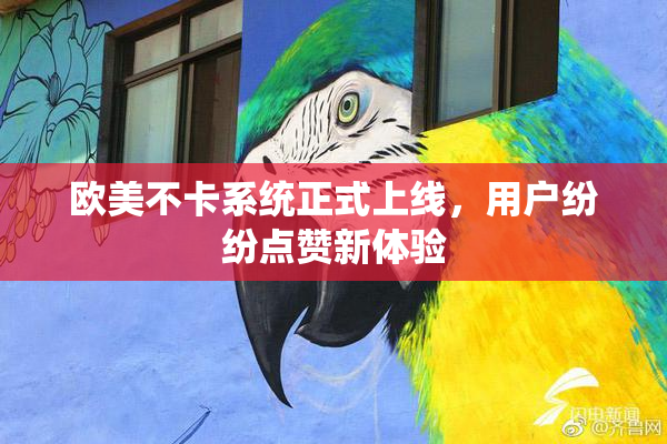 欧美不卡系统正式上线，用户纷纷点赞新体验