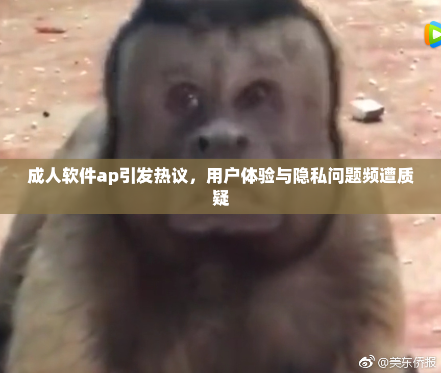 成人软件ap引发热议，用户体验与隐私问题频遭质疑