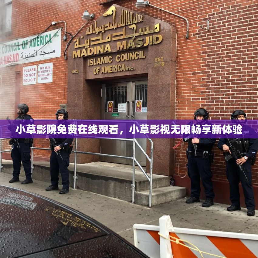 小草影院免费在线观看，小草影视无限畅享新体验