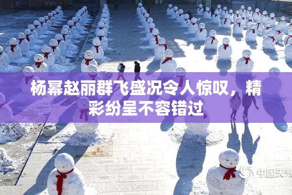 杨幂赵丽群飞盛况令人惊叹，精彩纷呈不容错过