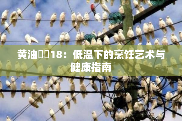 黄油❌‌18：低温下的烹饪艺术与健康指南