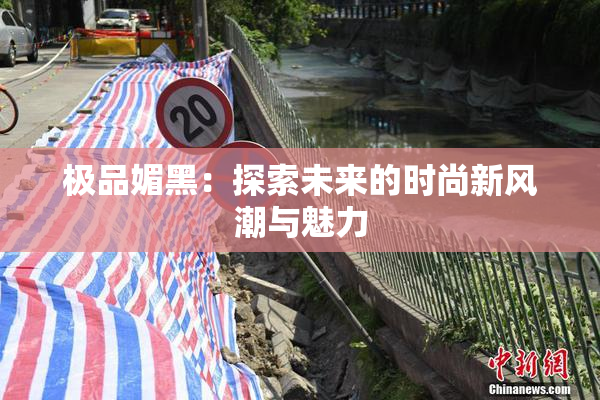极品媚黑：探索未来的时尚新风潮与魅力