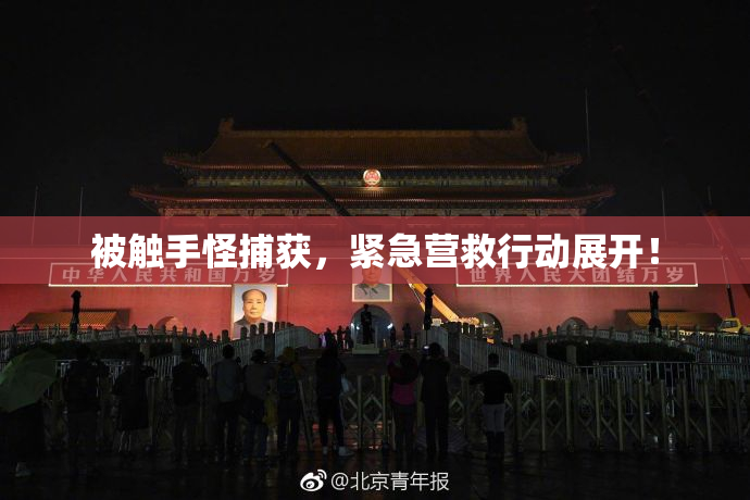 被触手怪捕获，紧急营救行动展开！