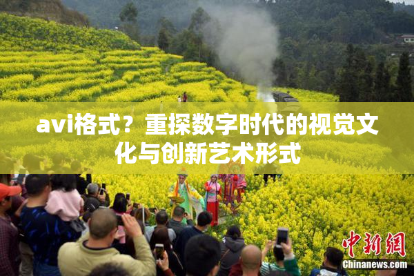 avi格式？重探数字时代的视觉文化与创新艺术形式