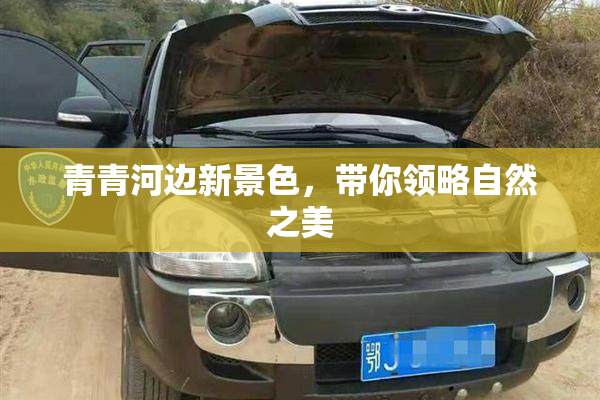 青青河边新景色，带你领略自然之美