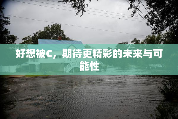 好想被C，期待更精彩的未来与可能性