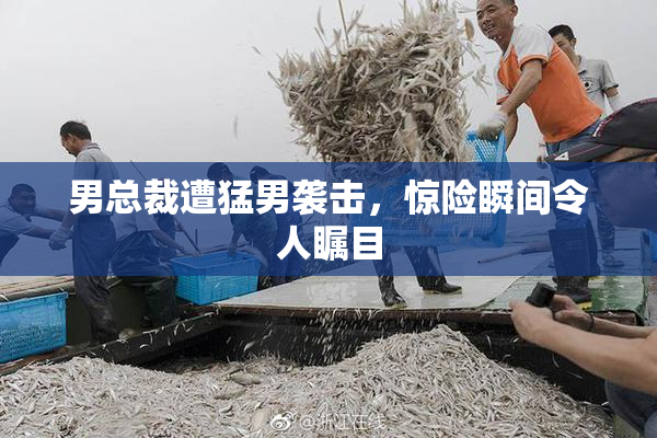 男总裁遭猛男袭击，惊险瞬间令人瞩目