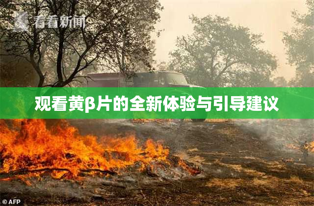 观看黄β片的全新体验与引导建议
