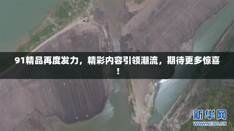 91精品再度发力，精彩内容引领潮流，期待更多惊喜！