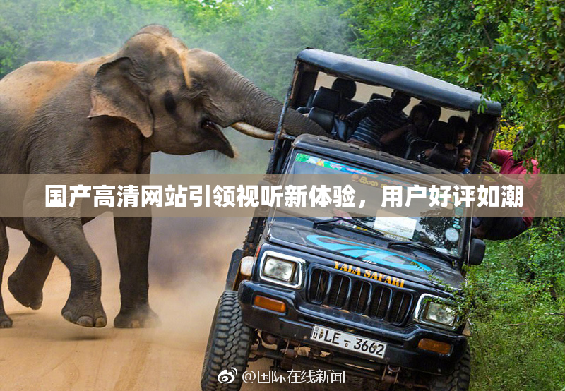 国产高清网站引领视听新体验，用户好评如潮