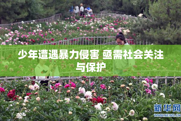 少年遭遇暴力侵害 亟需社会关注与保护