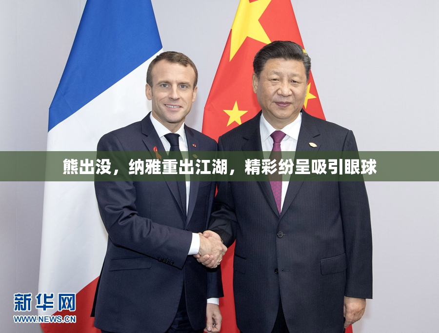 熊出没，纳雅重出江湖，精彩纷呈吸引眼球
