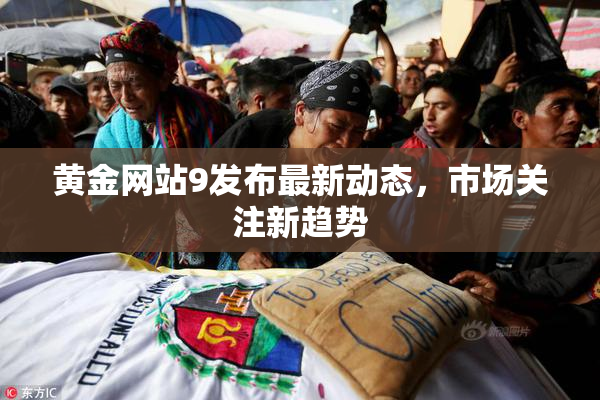 黄金网站9发布最新动态，市场关注新趋势