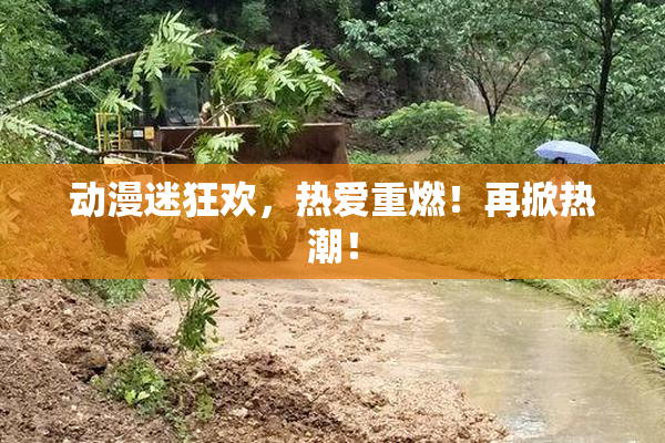 动漫迷狂欢，热爱重燃！再掀热潮！