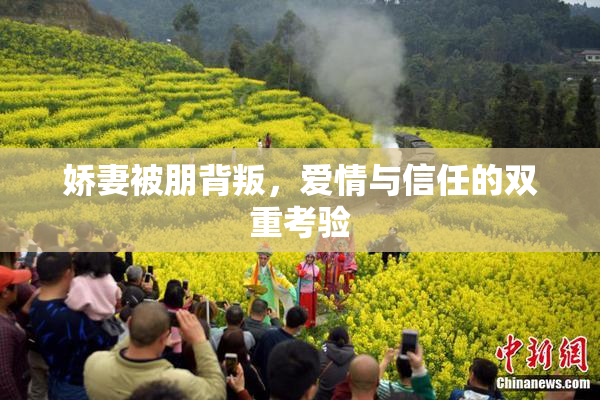 娇妻被朋背叛，爱情与信任的双重考验