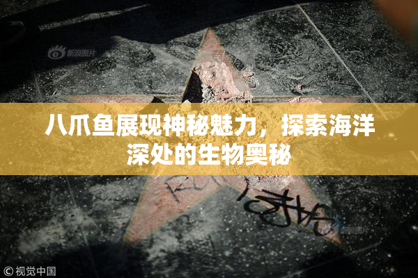 八爪鱼展现神秘魅力，探索海洋深处的生物奥秘