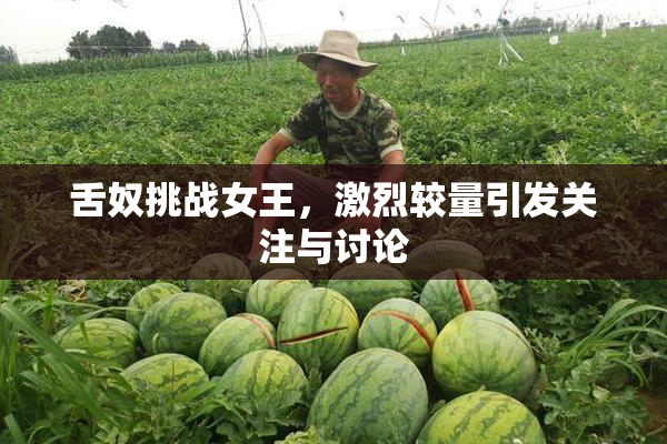 舌奴挑战女王，激烈较量引发关注与讨论