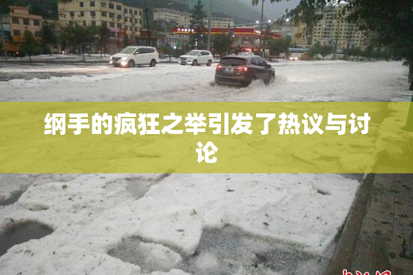 纲手的疯狂之举引发了热议与讨论