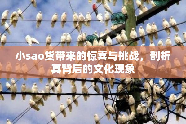 小sao货带来的惊喜与挑战，剖析其背后的文化现象