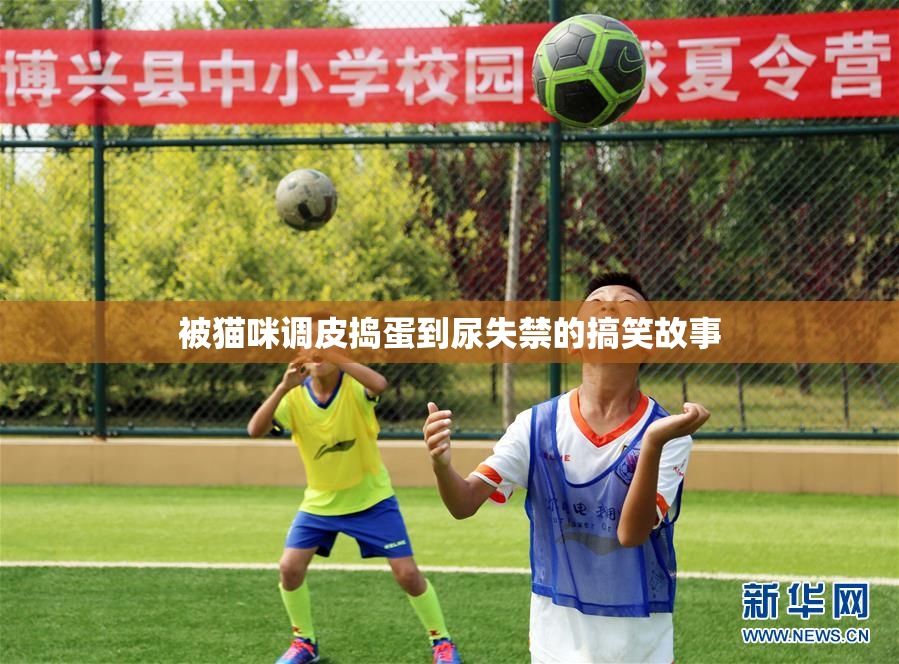 被猫咪调皮捣蛋到尿失禁的搞笑故事