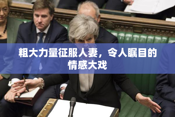 粗大力量征服人妻，令人瞩目的情感大戏