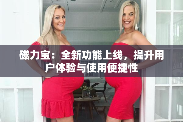 磁力宝：全新功能上线，提升用户体验与使用便捷性