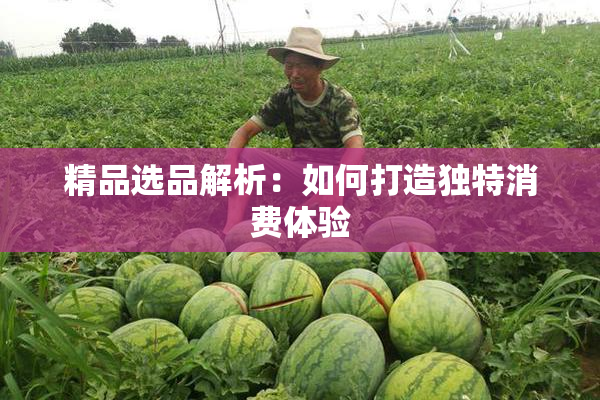 精品选品解析：如何打造独特消费体验