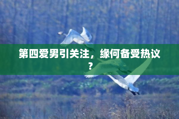 第四爱男引关注，缘何备受热议？