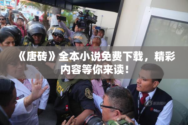 《唐砖》全本小说免费下载，精彩内容等你来读！