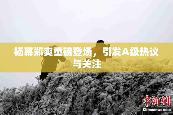 杨幂郑爽重磅登场，引发A级热议与关注