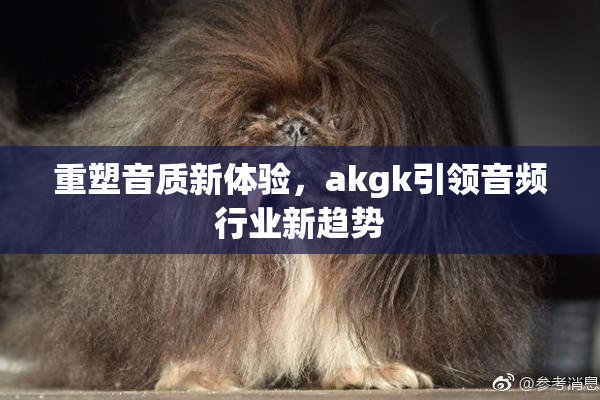 重塑音质新体验，akgk引领音频行业新趋势