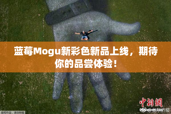 蓝莓Mogu新彩色新品上线，期待你的品尝体验！