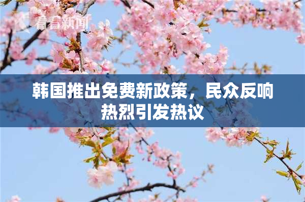 韩国推出免费新政策，民众反响热烈引发热议
