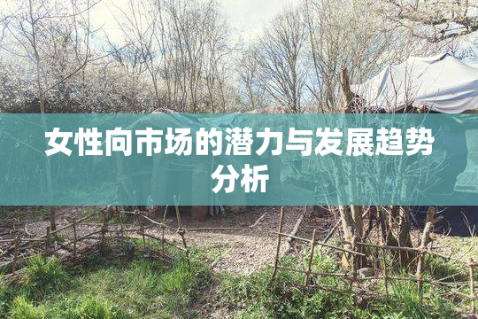 女性向市场的潜力与发展趋势分析