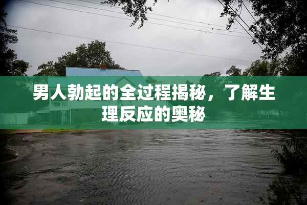男人勃起的全过程揭秘，了解生理反应的奥秘