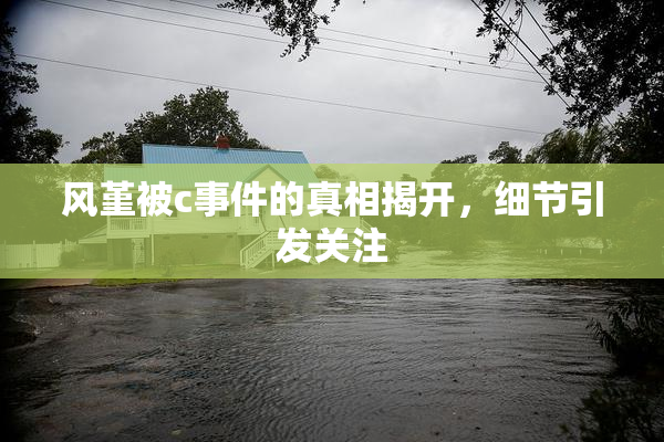 风堇被c事件的真相揭开，细节引发关注