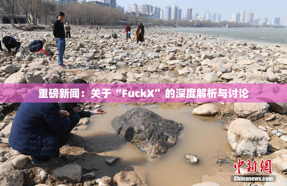 重磅新闻：关于“FuckX”的深度解析与讨论