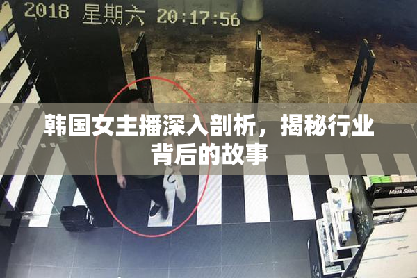 韩国女主播深入剖析，揭秘行业背后的故事