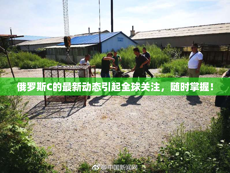 俄罗斯C的最新动态引起全球关注，随时掌握！