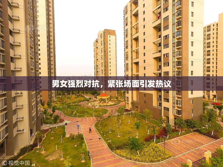 男女强烈对抗，紧张场面引发热议